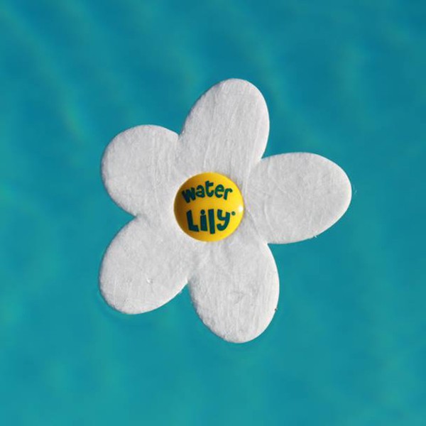 Water Lily